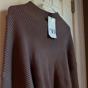 Brown (cinnamon colored) Zara Sweater